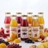 Rapha-Bucha Kombucha