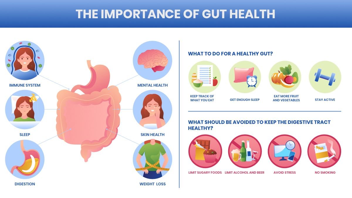 Gut Health – Why is it Important? 