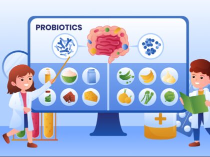 Why-Probiotics-and-Fermented-Foods-Matter-to-your-Gut